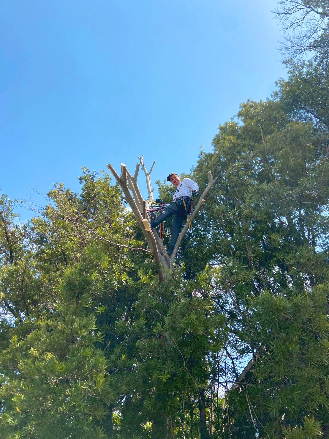 実技研修①の作業風景