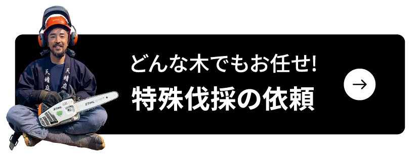どんな木でもお任せ!特殊伐採の依頼