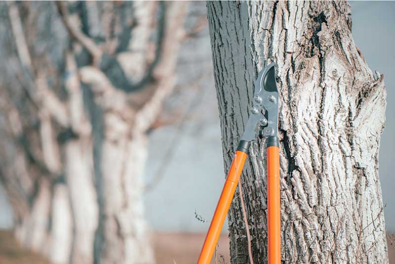 スケジュールイメージ