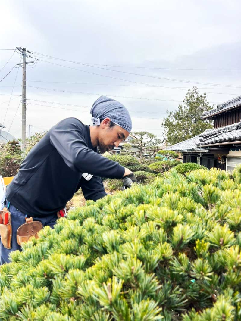 天晴庭園 伊勢店の庭師