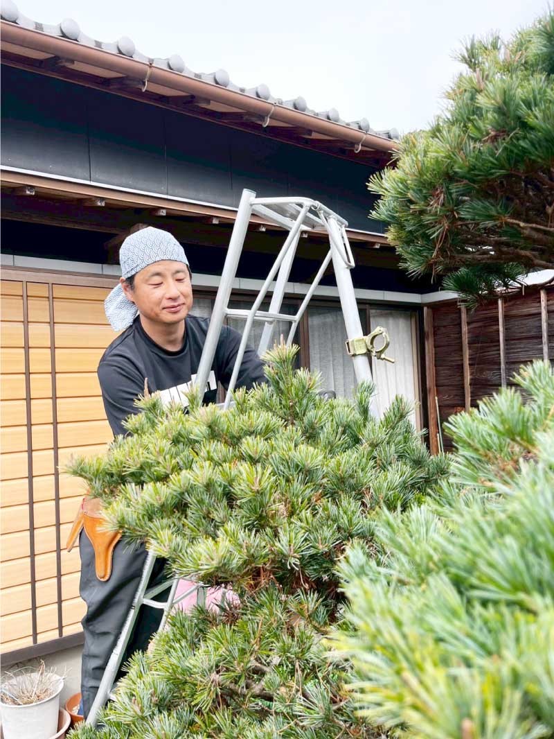 天晴庭園 清水店の庭師