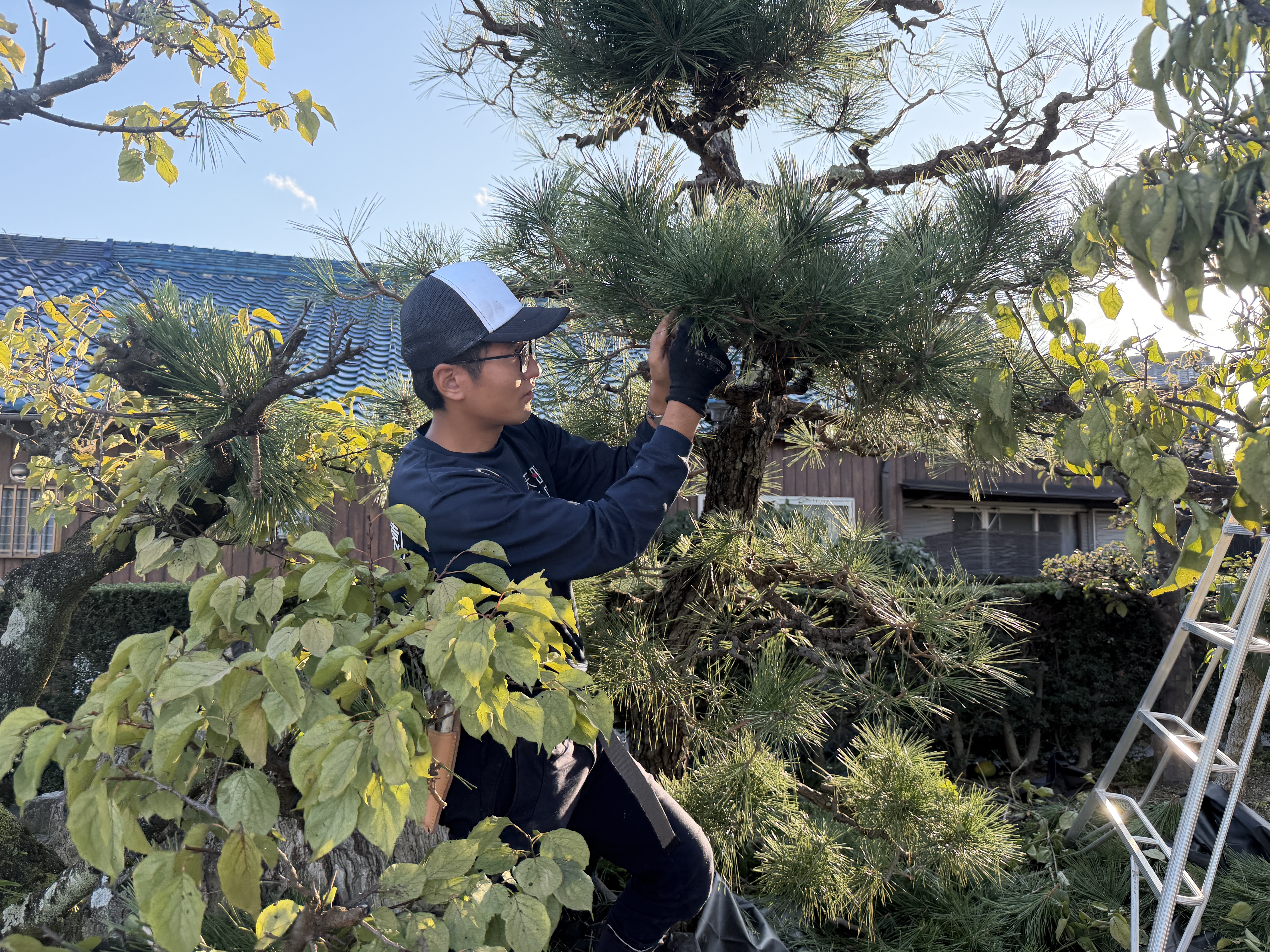天晴庭園 豊橋店の庭師
