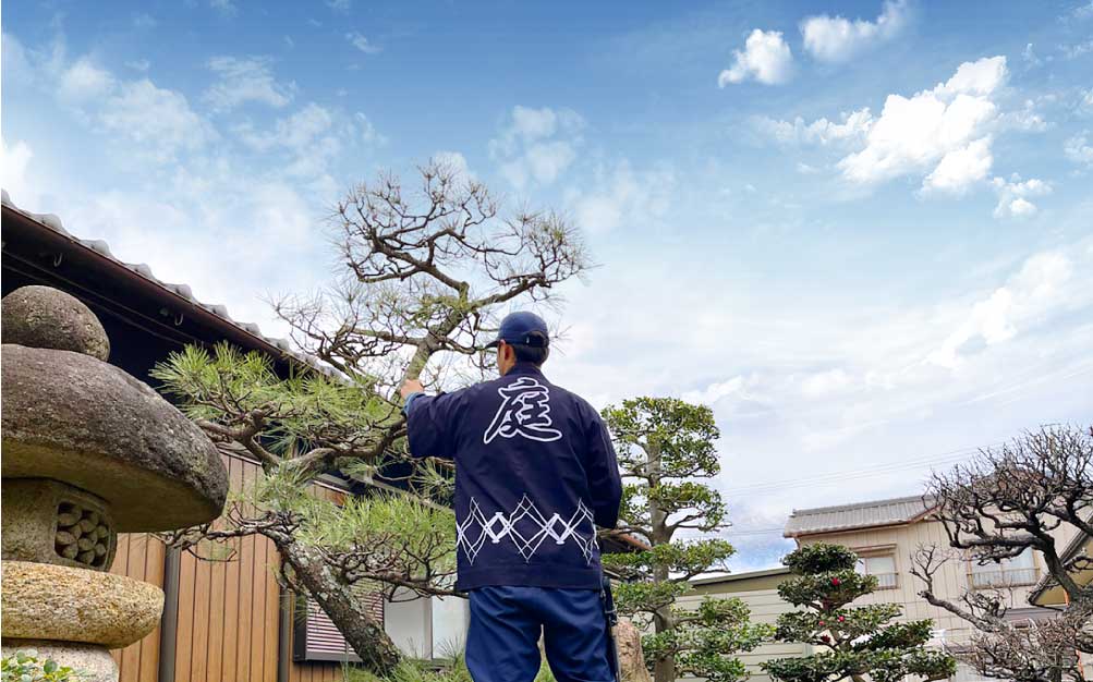 天晴庭園 四日市店の庭師