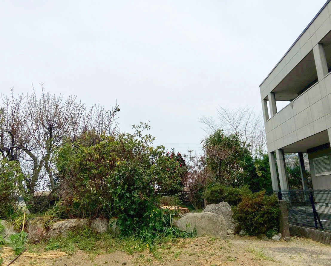 屋根にかかる木の特殊伐採Before画像