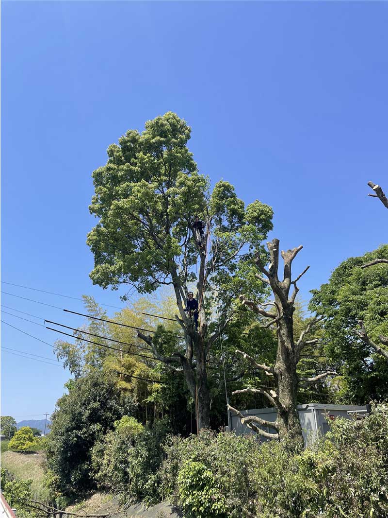 狭い場所の画像