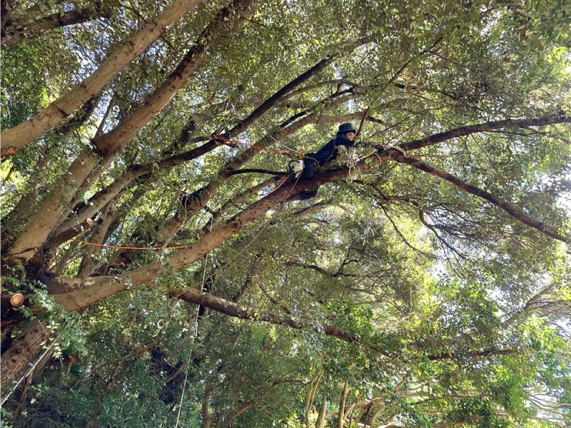 クレーンが入れない場所の画像