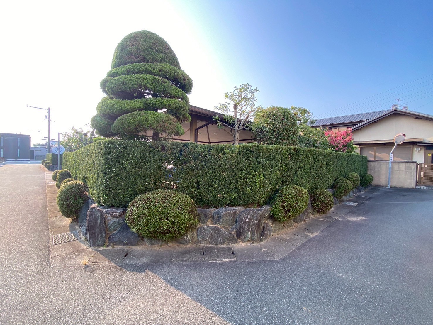 生垣刈り込み、キンモクセイなどの剪定After画像