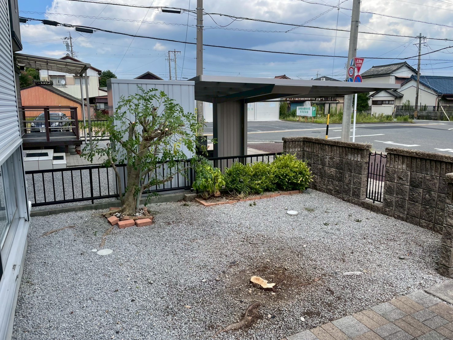 コノテガシワの伐採、シマトネリコの剪定After画像