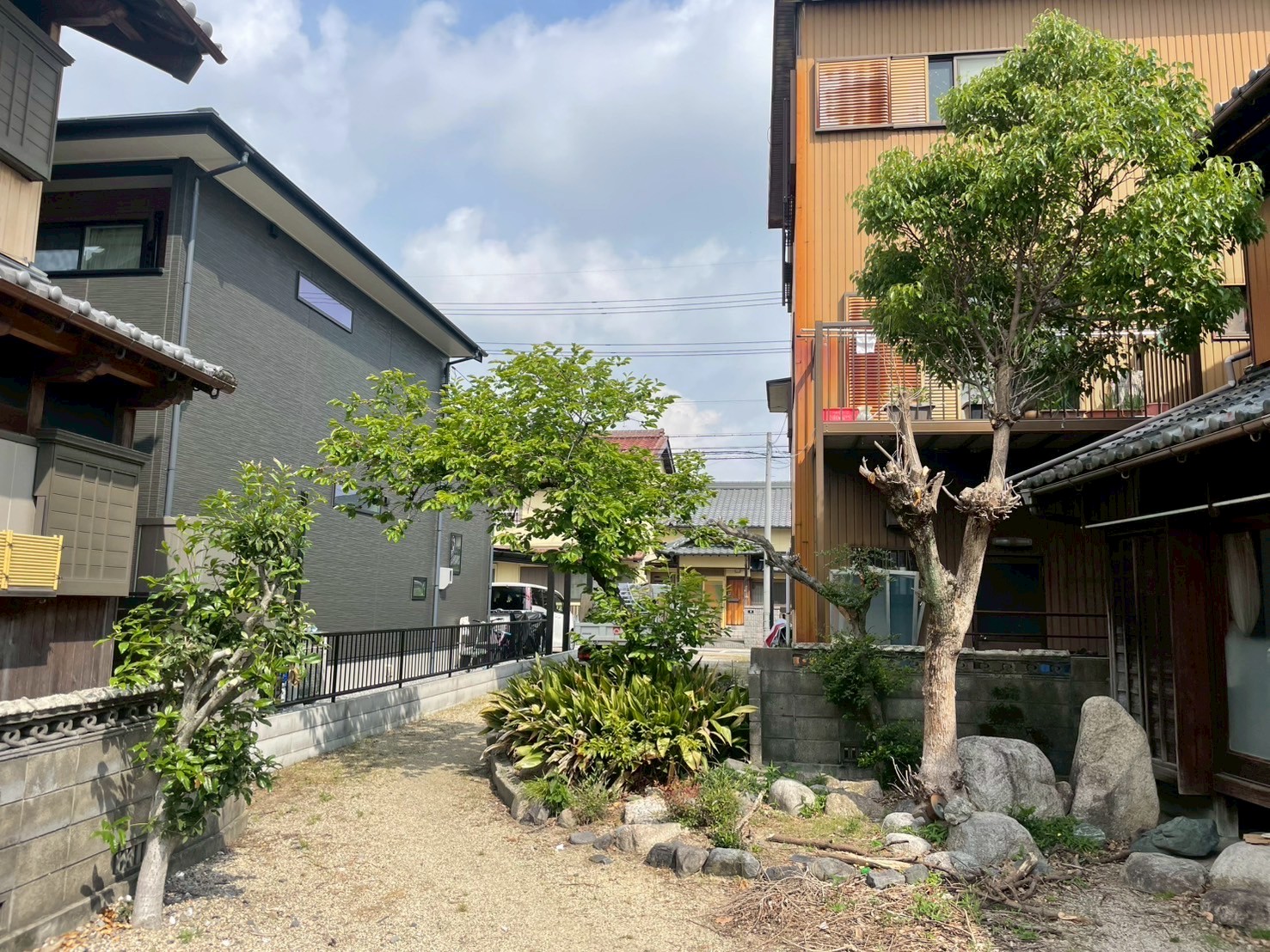 倒木対策Before画像